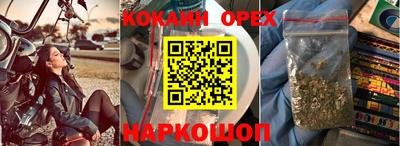 шишки Гагарин